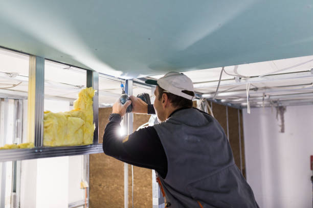 Best Energy-efficient Insulation  in Harrisburg, SD