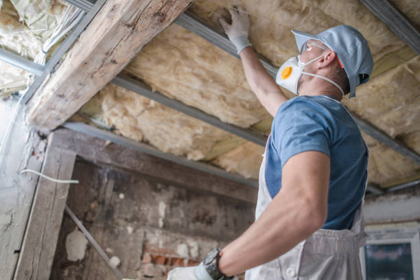 Best Insulation for Commercial Buildings  in Harrisburg, SD