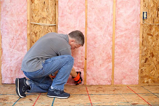 Best Cellulose Insulation  in Harrisburg, SD